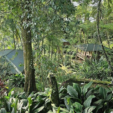 Rimba Eco Resort Tomohon Buitenkant foto