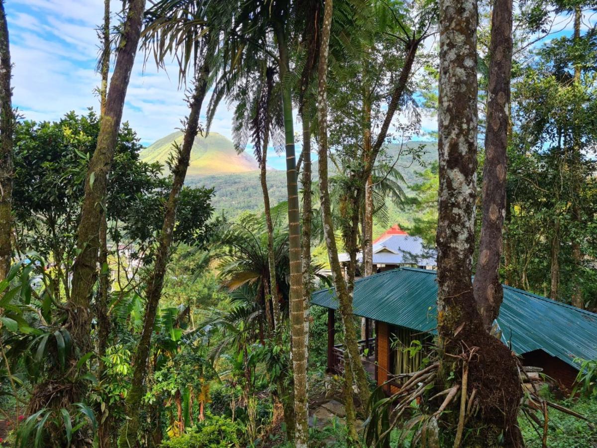 Rimba Eco Resort Tomohon Buitenkant foto