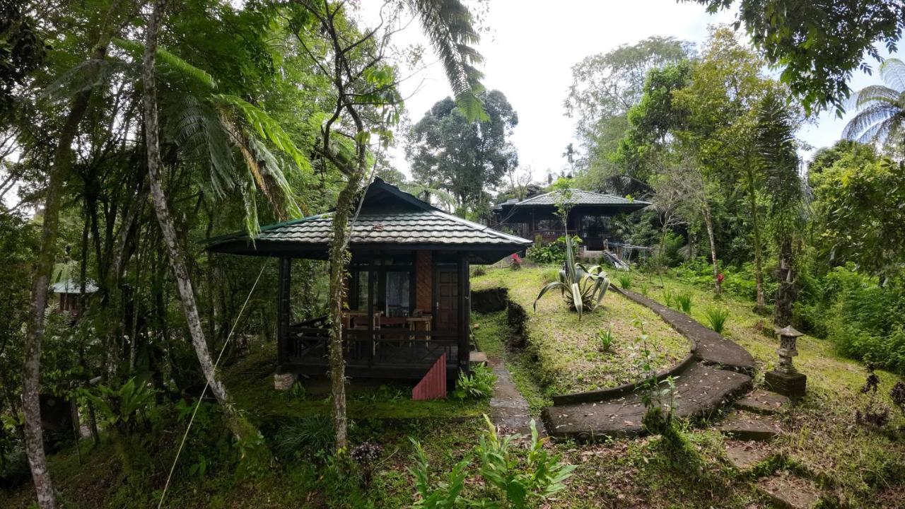 Rimba Eco Resort Tomohon Buitenkant foto