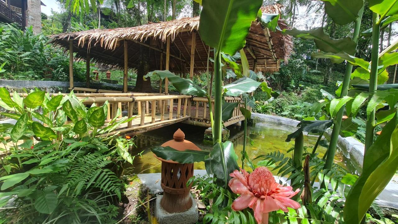 Rimba Eco Resort Tomohon Buitenkant foto