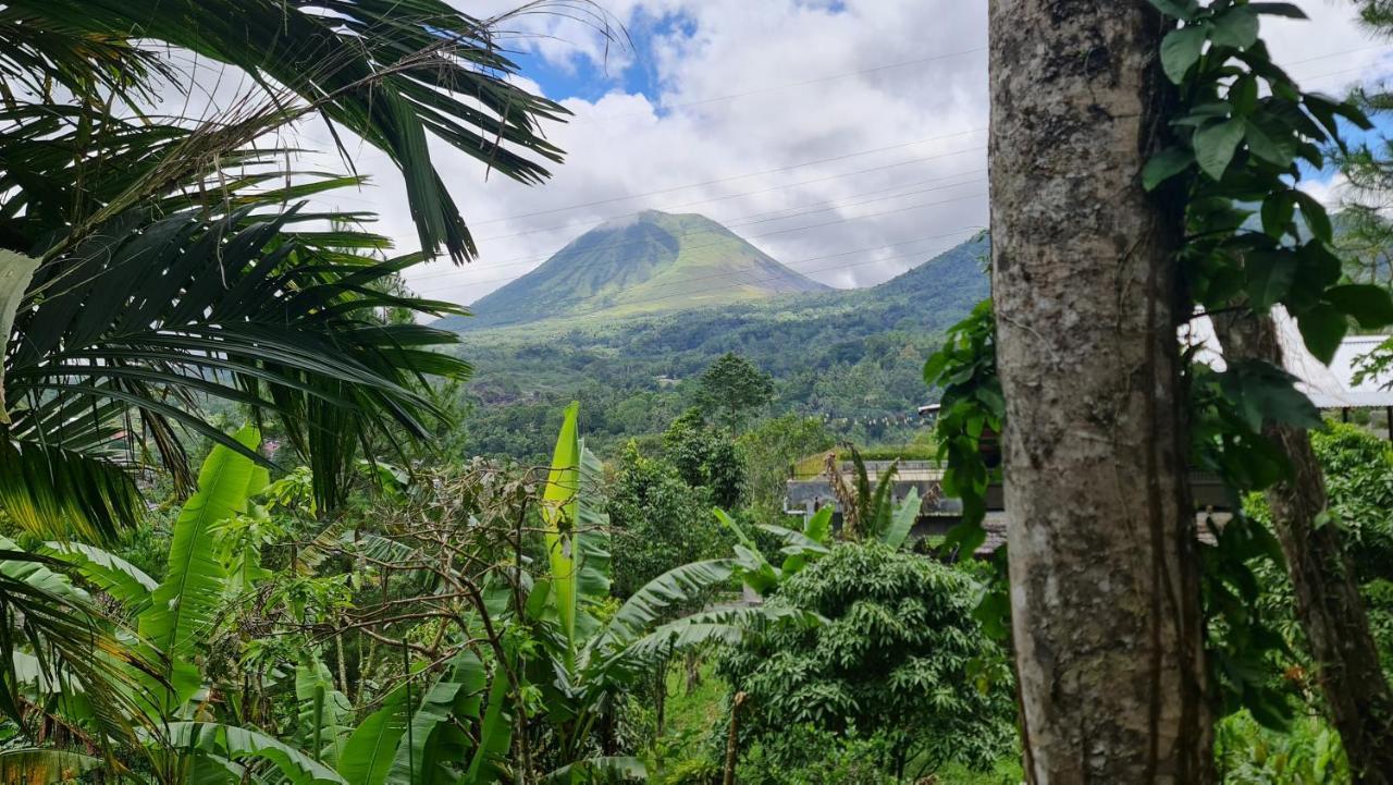 Rimba Eco Resort Tomohon Buitenkant foto