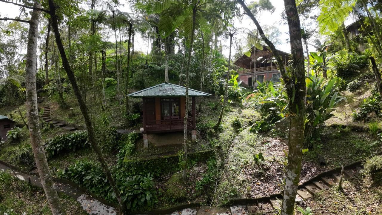 Rimba Eco Resort Tomohon Buitenkant foto