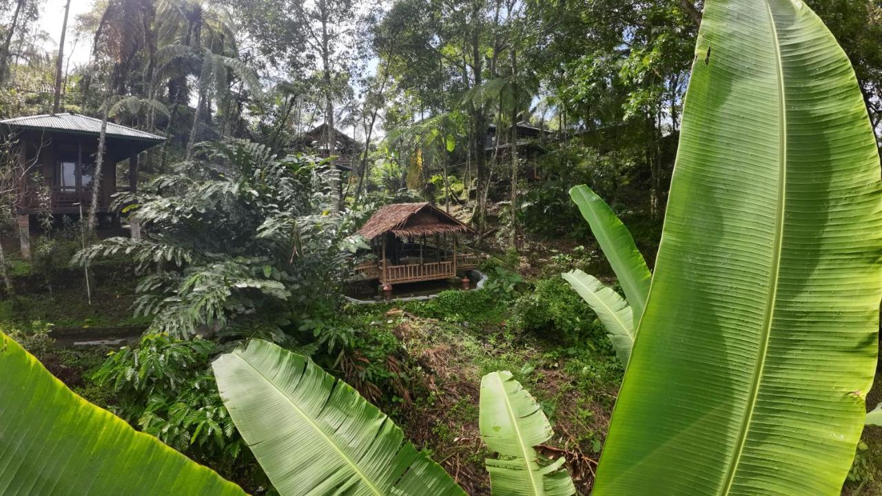Rimba Eco Resort Tomohon Buitenkant foto
