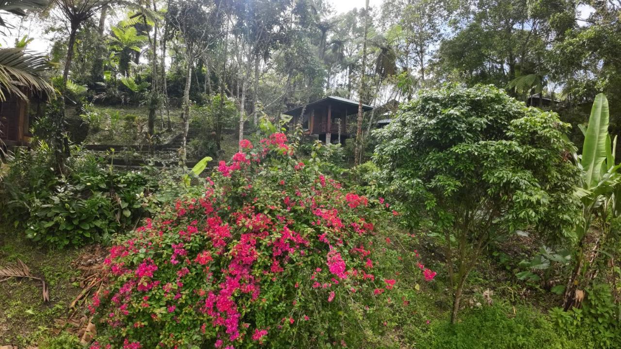 Rimba Eco Resort Tomohon Buitenkant foto