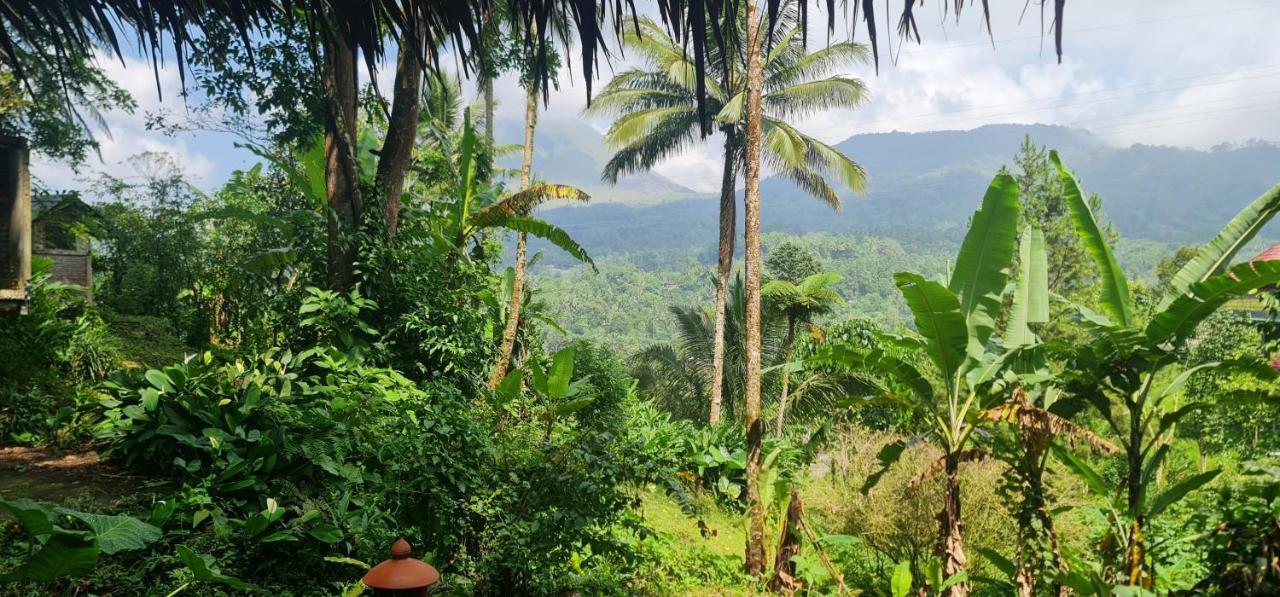 Rimba Eco Resort Tomohon Buitenkant foto