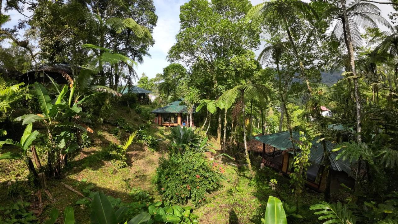 Rimba Eco Resort Tomohon Buitenkant foto