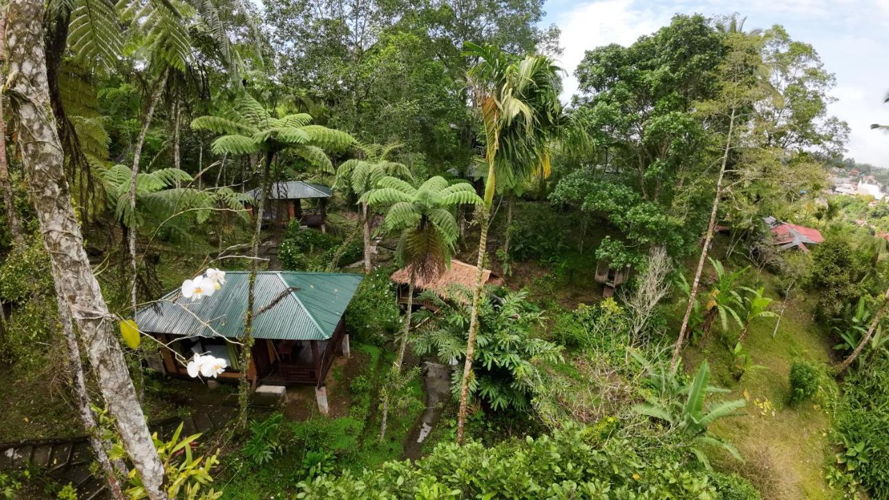 Rimba Eco Resort Tomohon Buitenkant foto