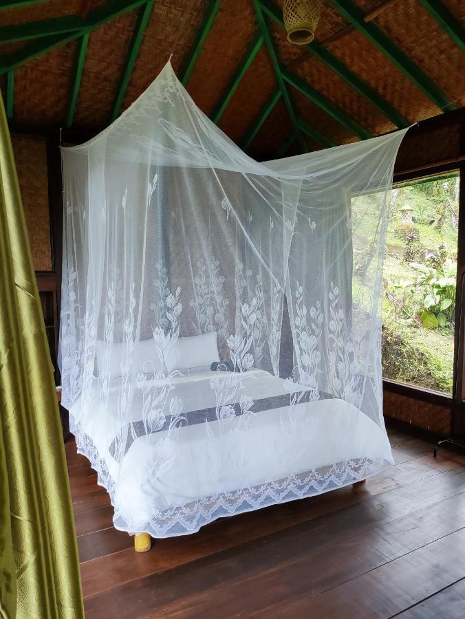 Rimba Eco Resort Tomohon Buitenkant foto