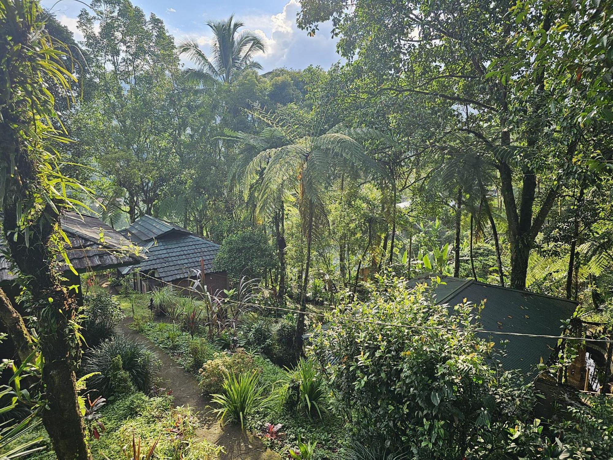 Rimba Eco Resort Tomohon Buitenkant foto