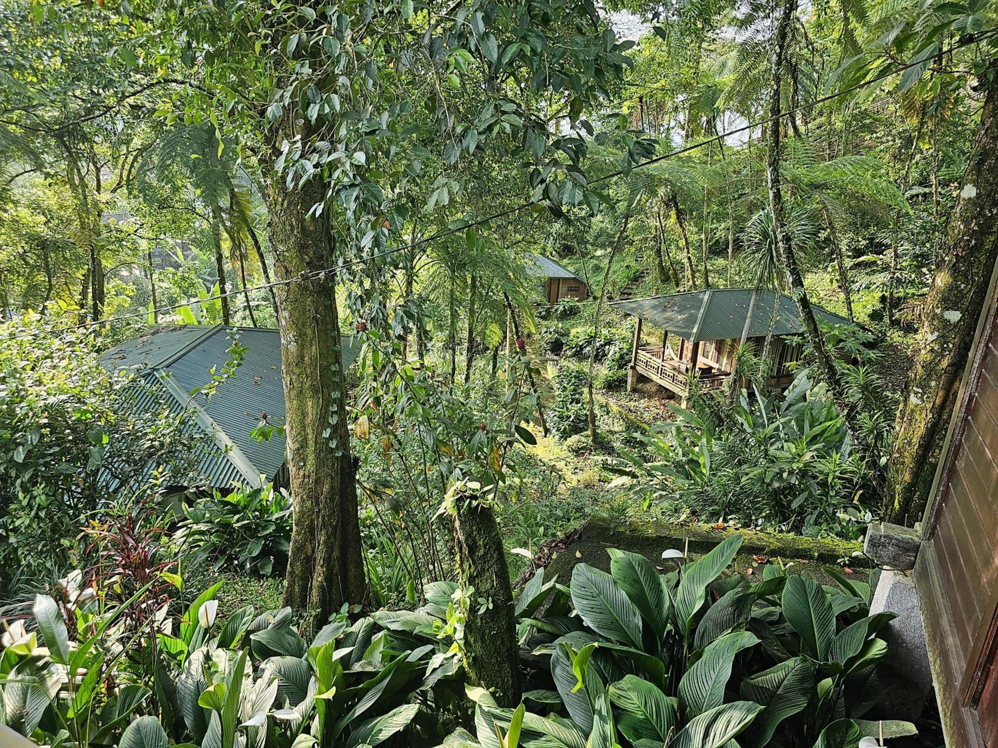 Rimba Eco Resort Tomohon Buitenkant foto